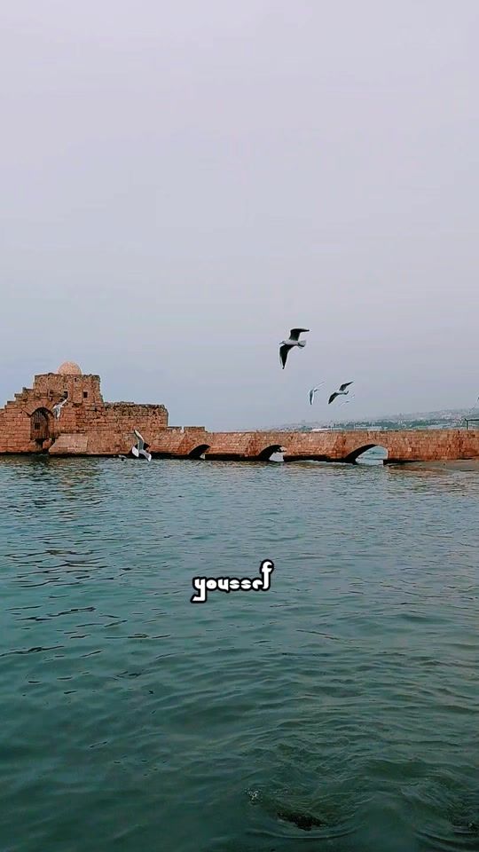 TikTok video thumbnail by youssefmayassi