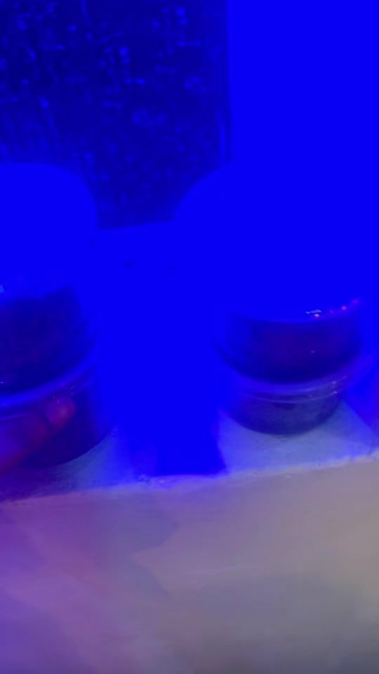TikTok video thumbnail by .roxanavieira3
