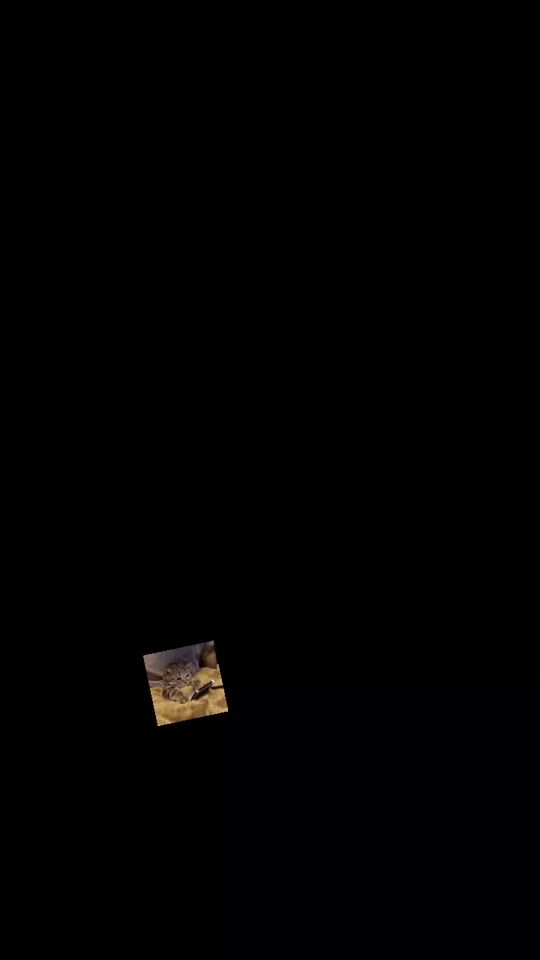 TikTok video thumbnail by 06unicofiel