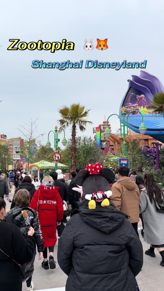 TikTok video thumbnail by maefongbeer