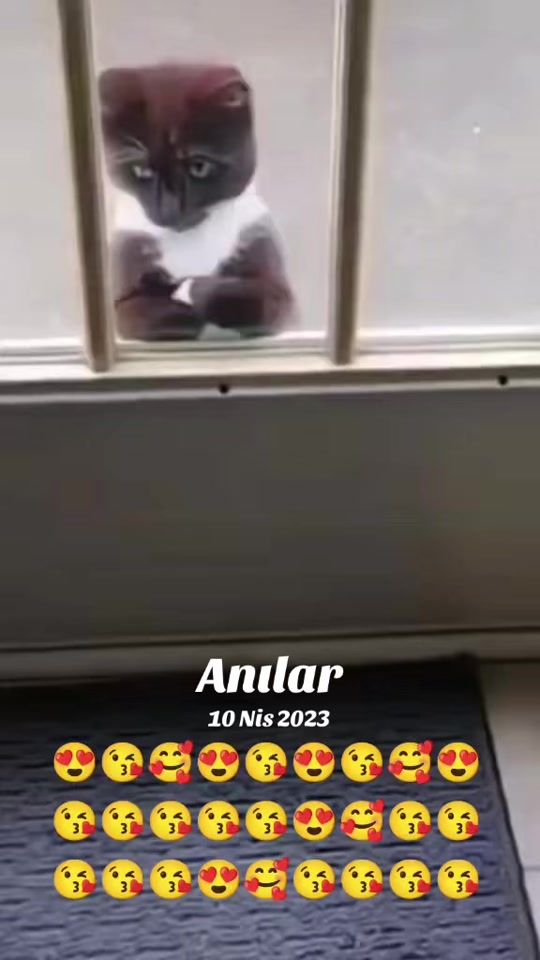 TikTok video thumbnail by kirve7234