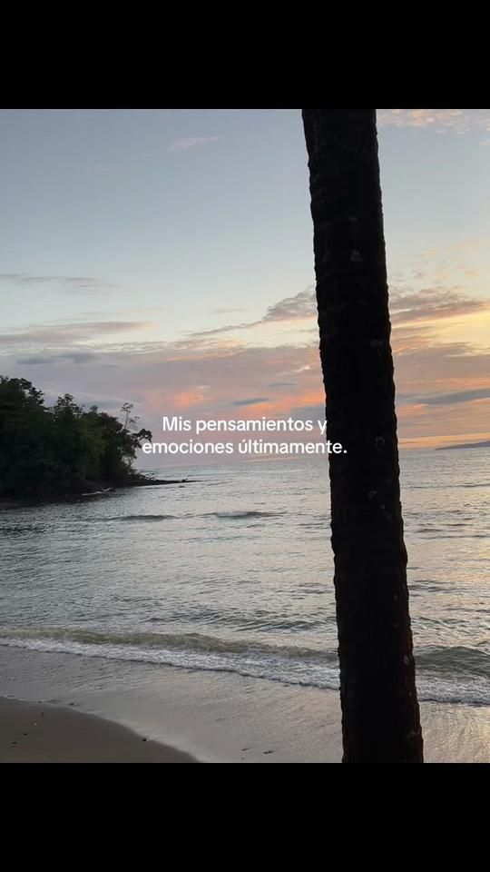 TikTok video thumbnail by torio.adventures
