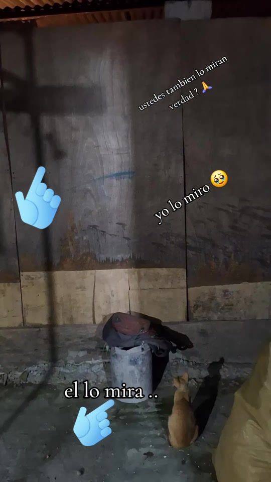 TikTok video thumbnail by alvez265