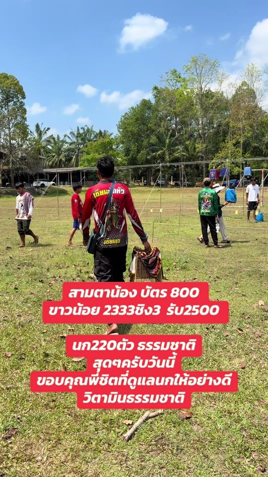 TikTok video thumbnail by supachai_a1