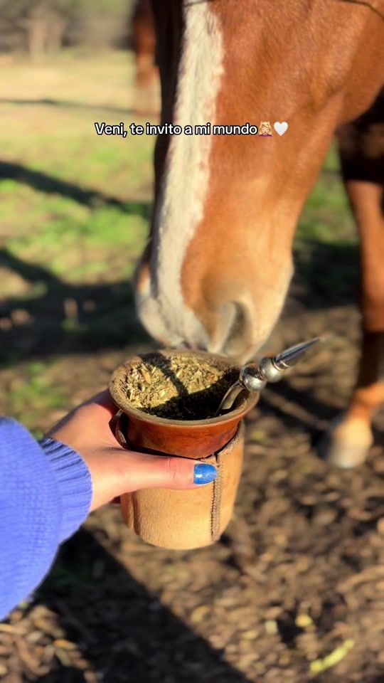 TikTok video thumbnail by luubertorello