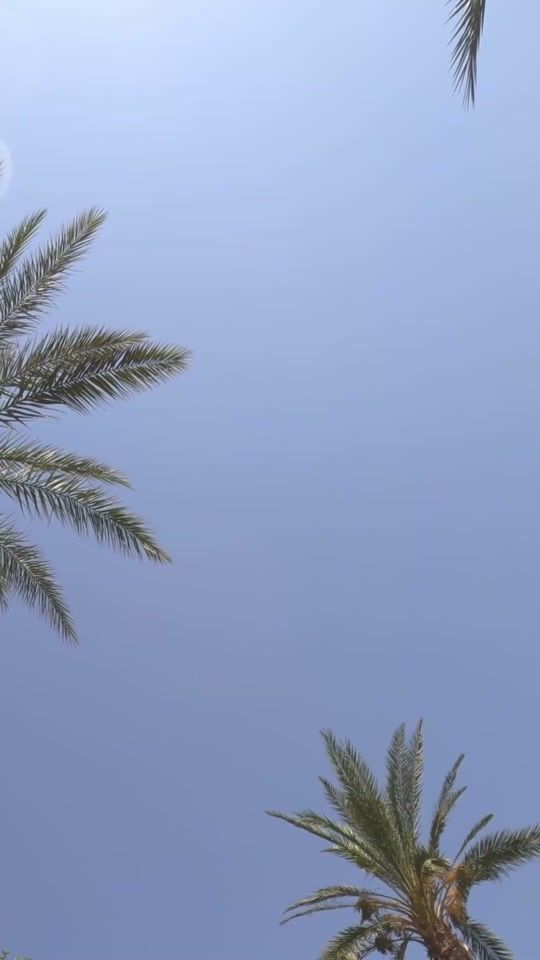 TikTok video thumbnail by w70a