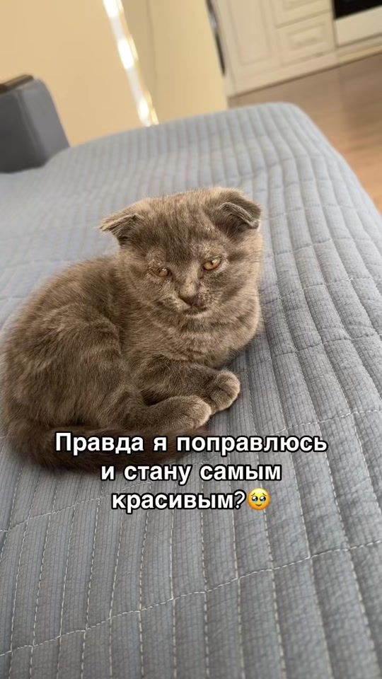 TikTok video thumbnail by mamabosskkk