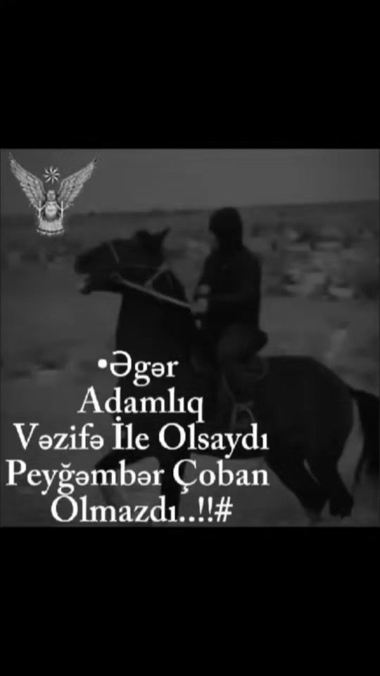 TikTok video thumbnail by murad_2223_