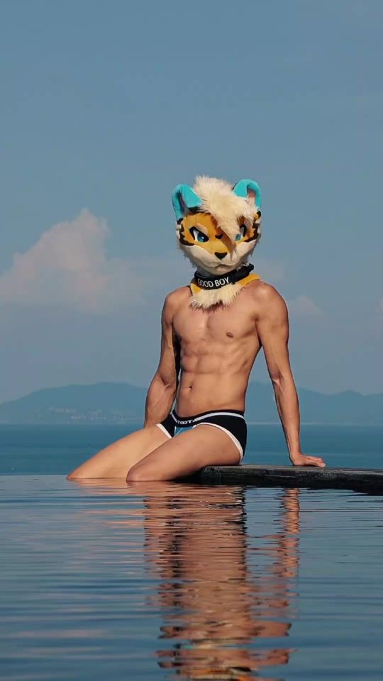 TikTok video thumbnail by bulgypaws