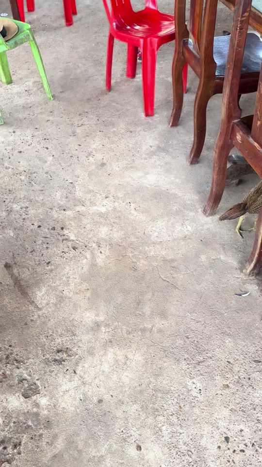 TikTok video thumbnail by maly.8