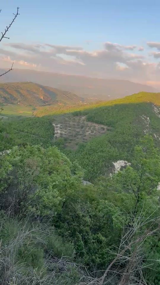 TikTok video thumbnail by lulifier