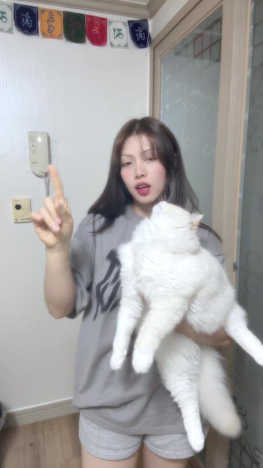 TikTok video thumbnail by amreeta__tmg