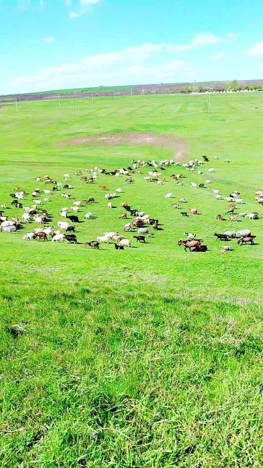 TikTok video thumbnail by victormotruc8