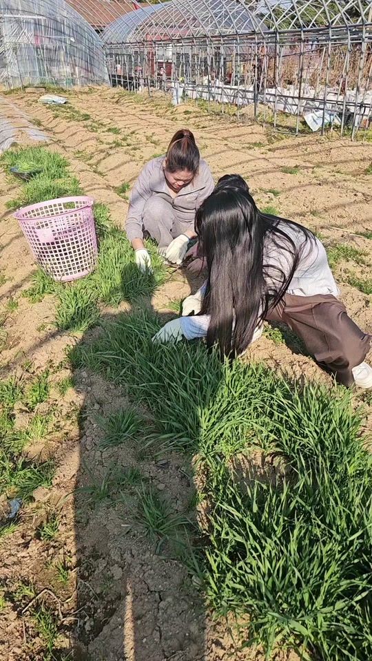 TikTok video thumbnail by mercy8531