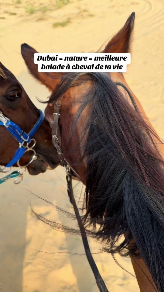TikTok video thumbnail by elodubaitips