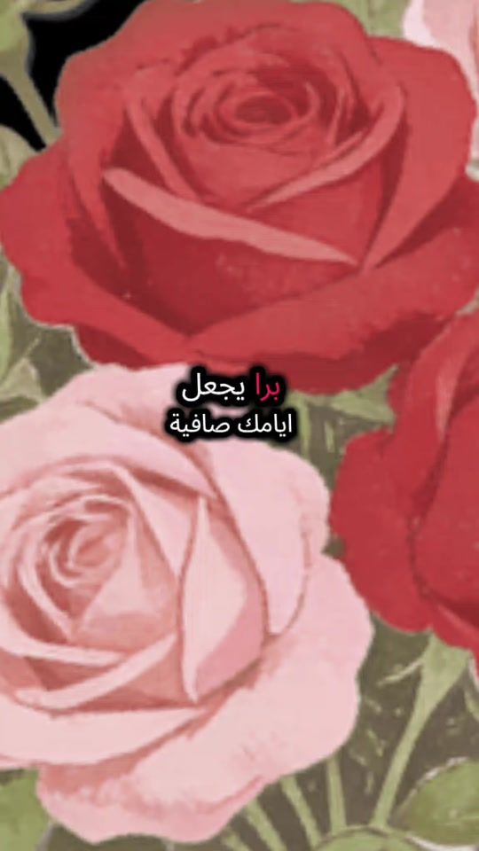 TikTok video thumbnail by shaymamabrouk7