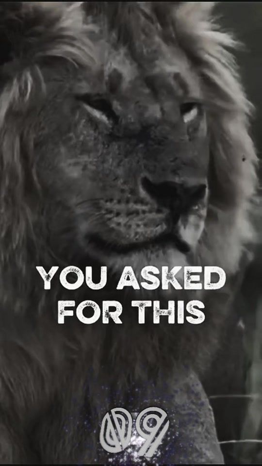 TikTok video thumbnail by user.wb10