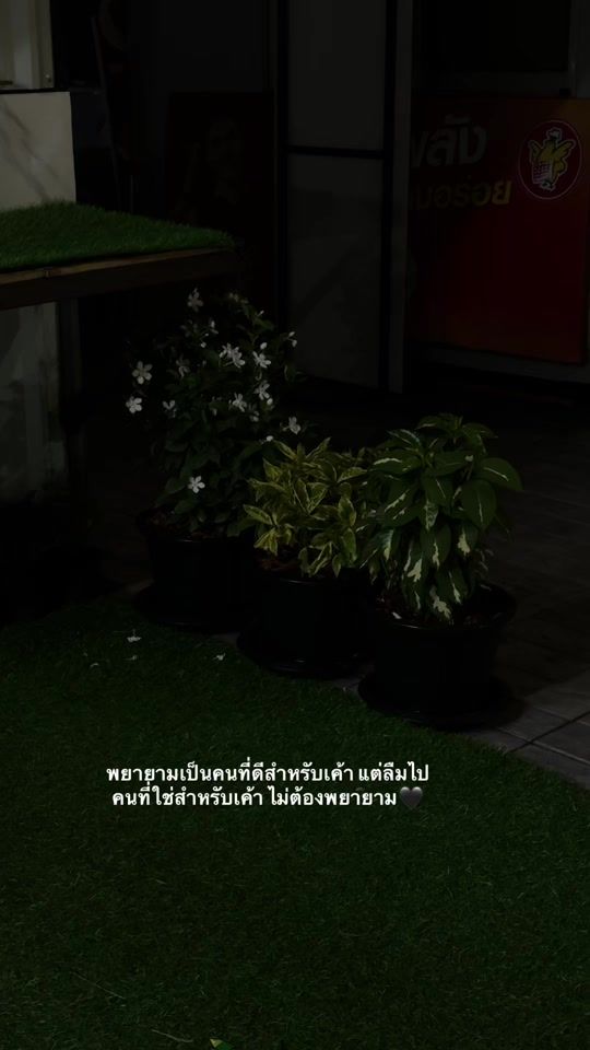 TikTok video thumbnail by hatari_3793