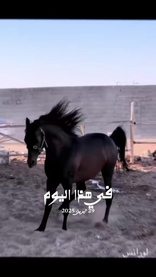 TikTok video thumbnail by user00__33
