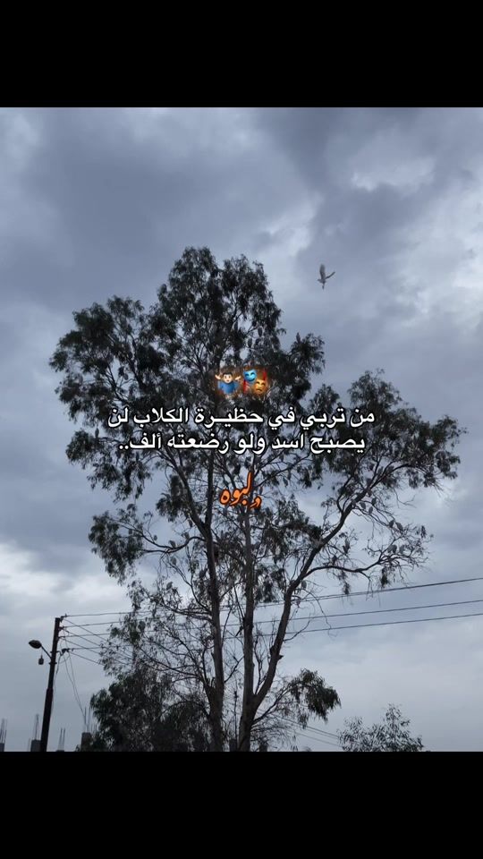 TikTok video thumbnail by a7_45_