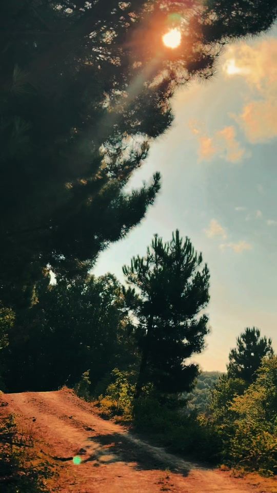 TikTok video thumbnail by hepdoga