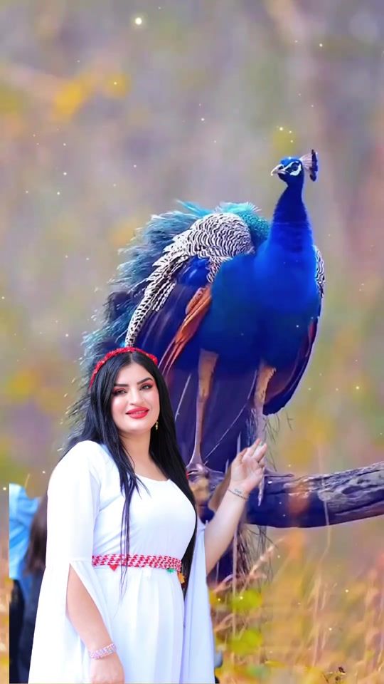 TikTok video thumbnail by shingaly_1999