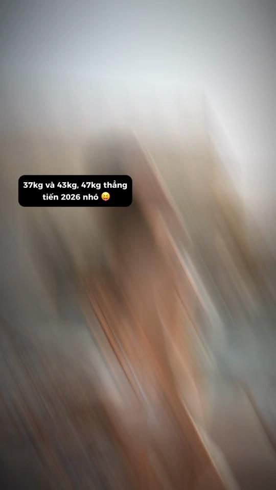 TikTok video thumbnail by cheese_xi8