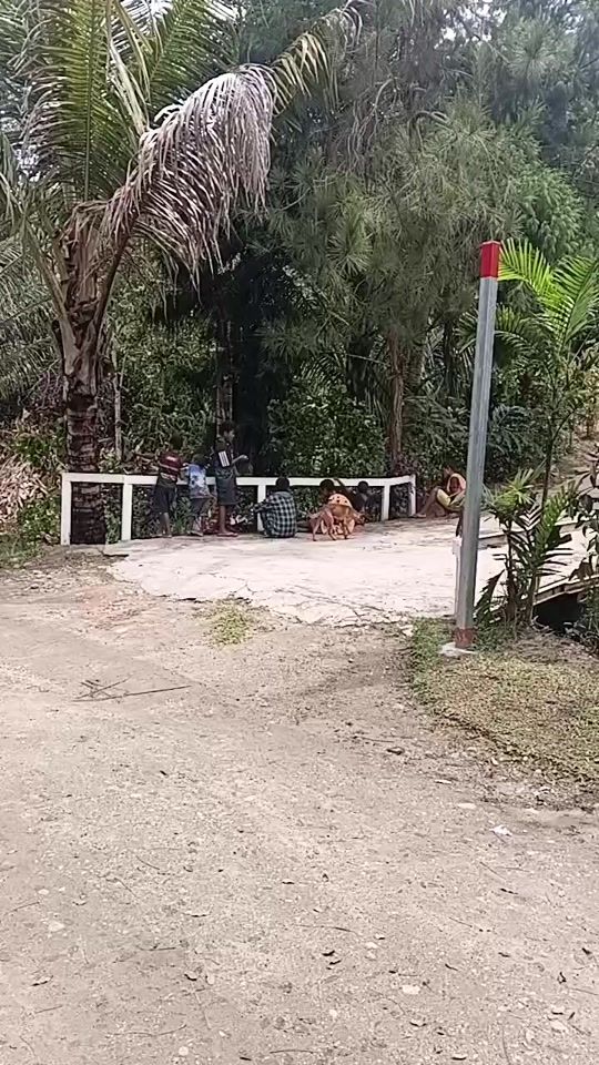 TikTok video thumbnail by coconuttree739