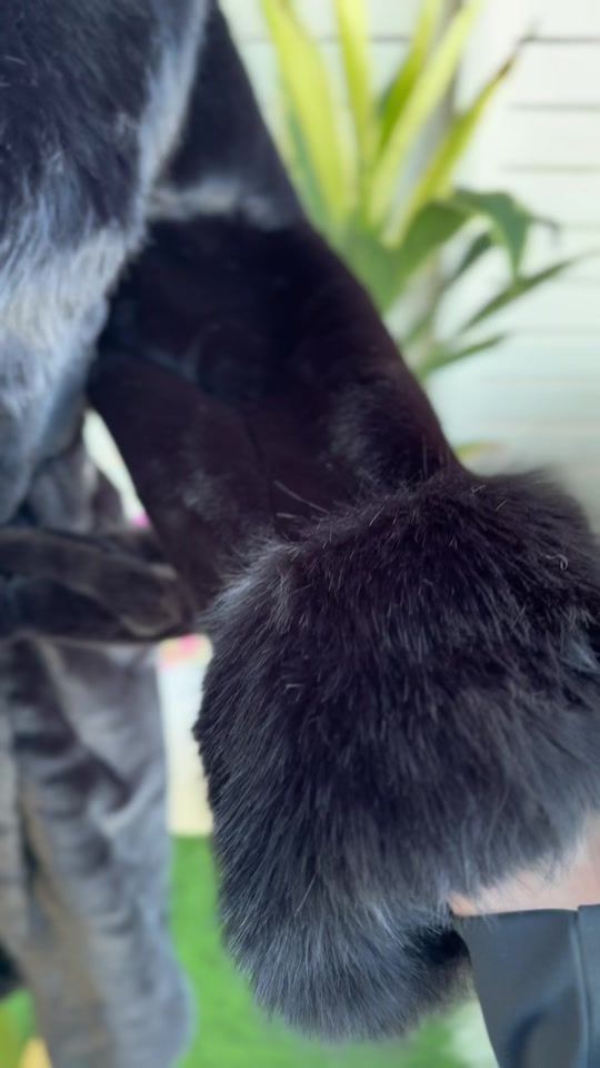 TikTok video thumbnail by eklel_alanaka.vip