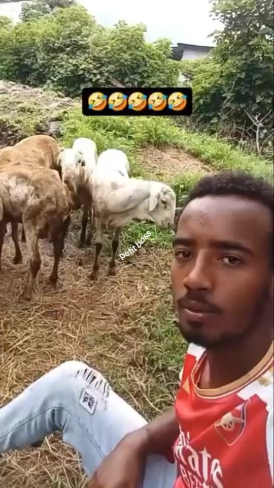 TikTok video thumbnail by dtwteamcois