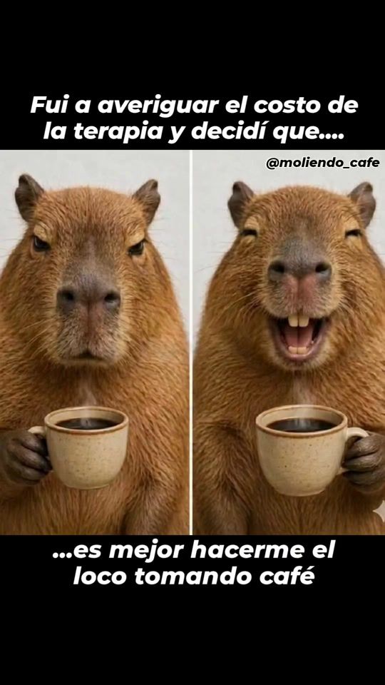 TikTok video thumbnail by moliendo_cafe_vzla