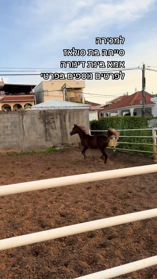 TikTok video thumbnail by majd.asaly