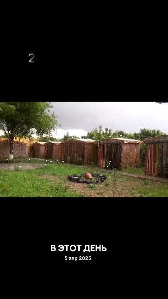 TikTok video thumbnail by troyagarden3