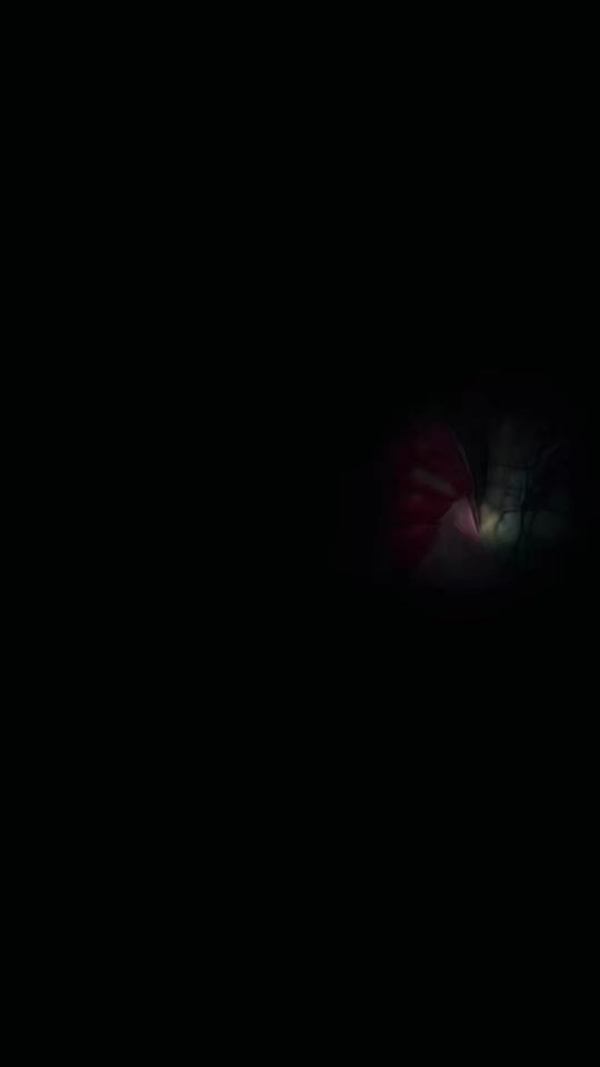 TikTok video thumbnail by mrose.j