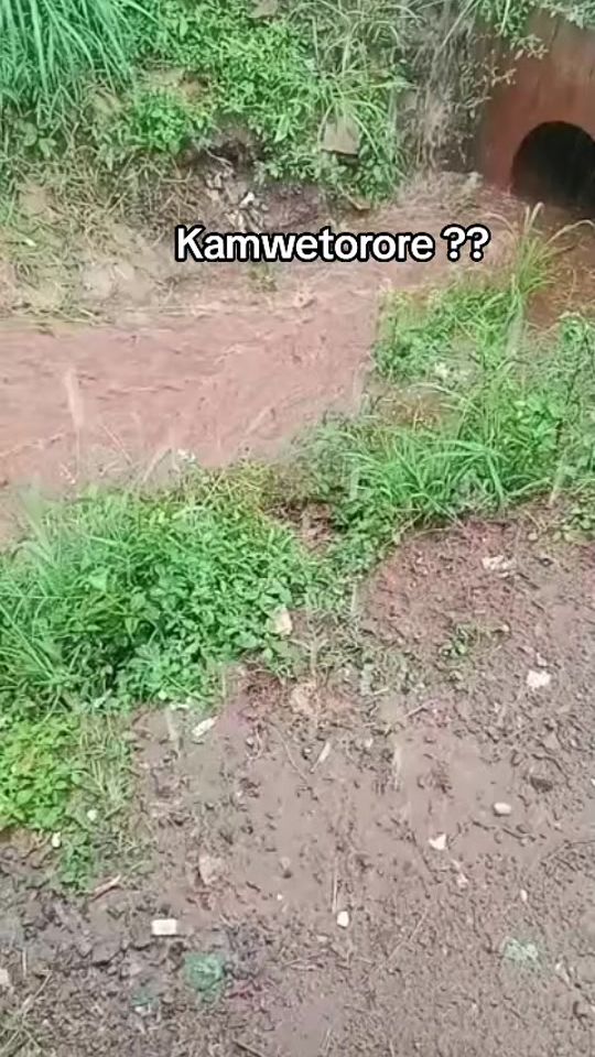 TikTok video thumbnail by salongodembe