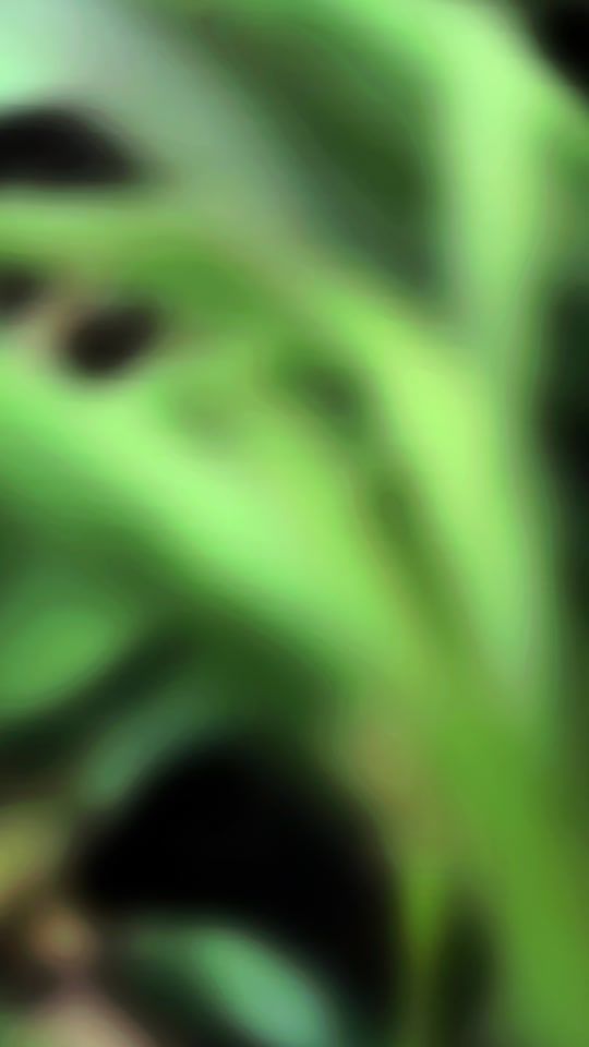 TikTok video thumbnail by zhekos____