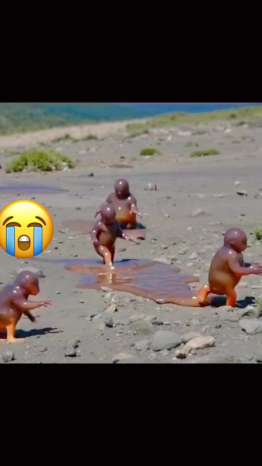 TikTok video thumbnail by alegria_binks