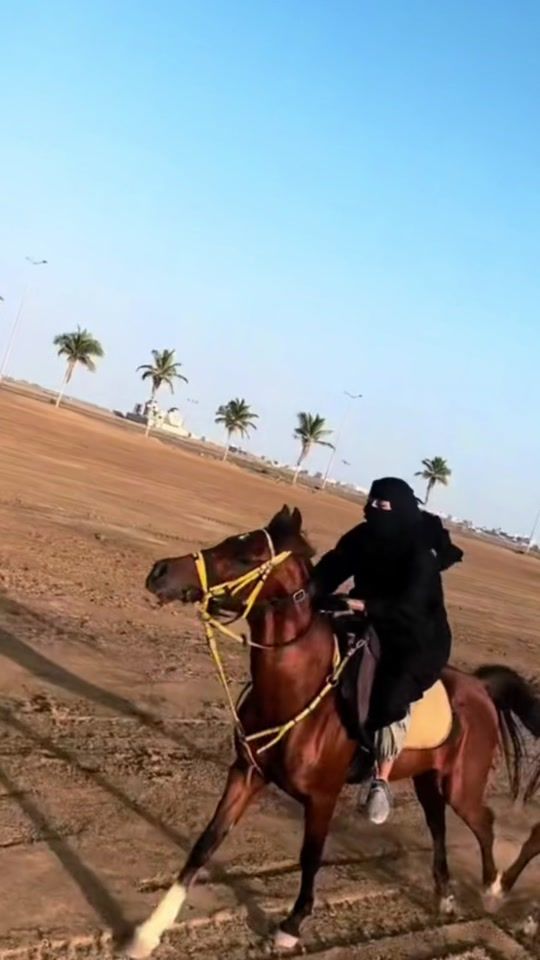 TikTok video thumbnail by sola_033