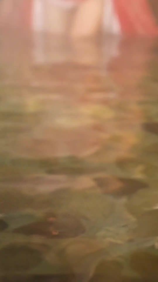 TikTok video thumbnail by zyl000111