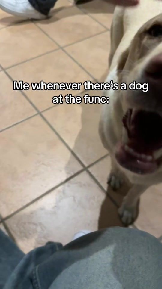 TikTok video thumbnail by luvxbluey