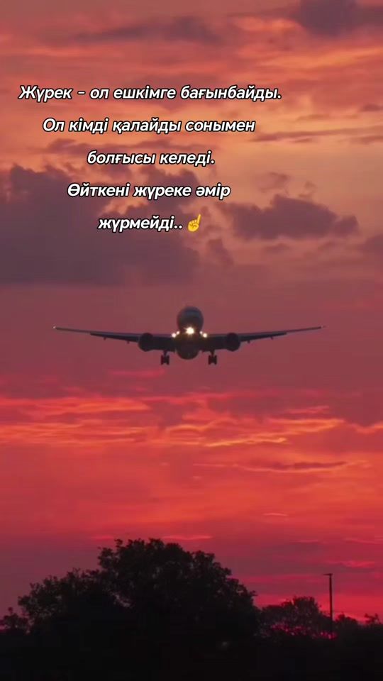 TikTok video thumbnail by uyru.855