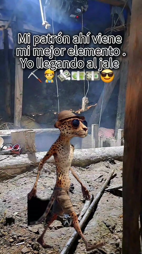 TikTok video thumbnail by rojasbiker20