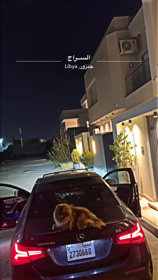 TikTok video thumbnail by unte_4
