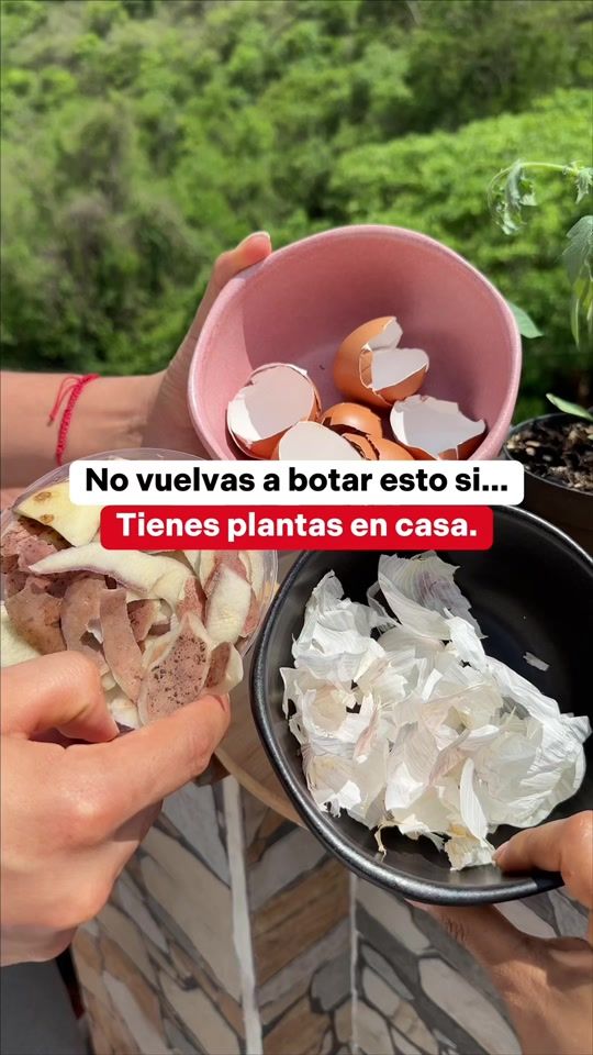 TikTok video thumbnail by campeamigas