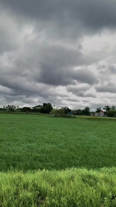 TikTok video thumbnail by rs_raju_ahmed