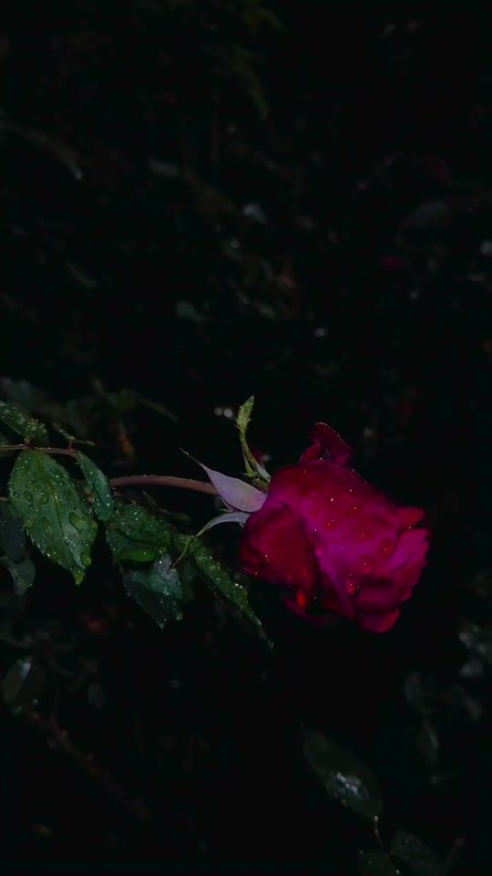 TikTok video thumbnail by eliff_08_