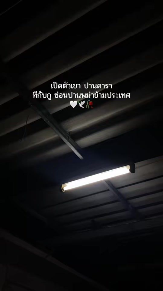 TikTok video thumbnail by adison__1994