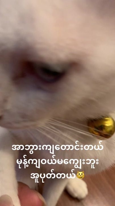 TikTok video thumbnail by maoo6622