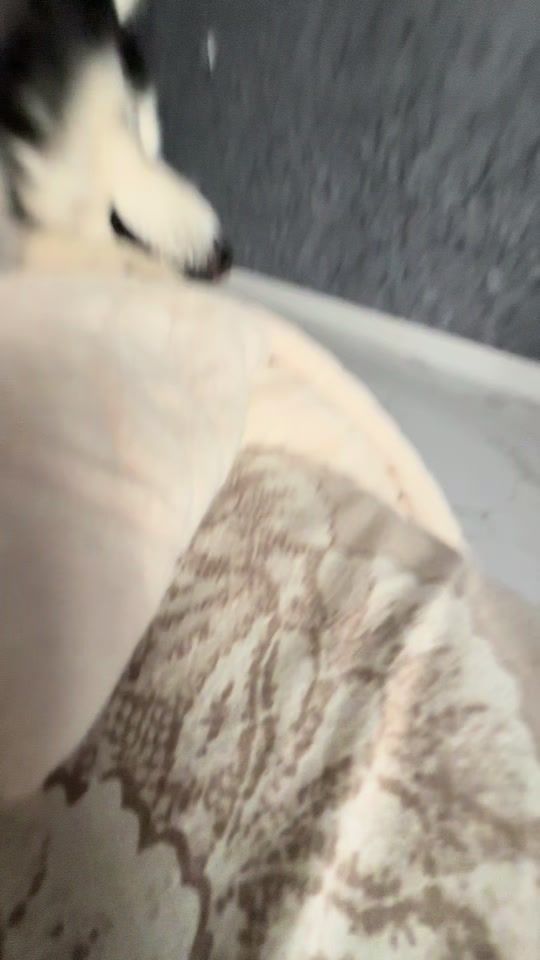 TikTok video thumbnail by tyusiff