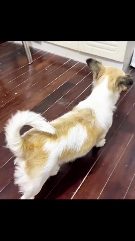TikTok video thumbnail by ezily13
